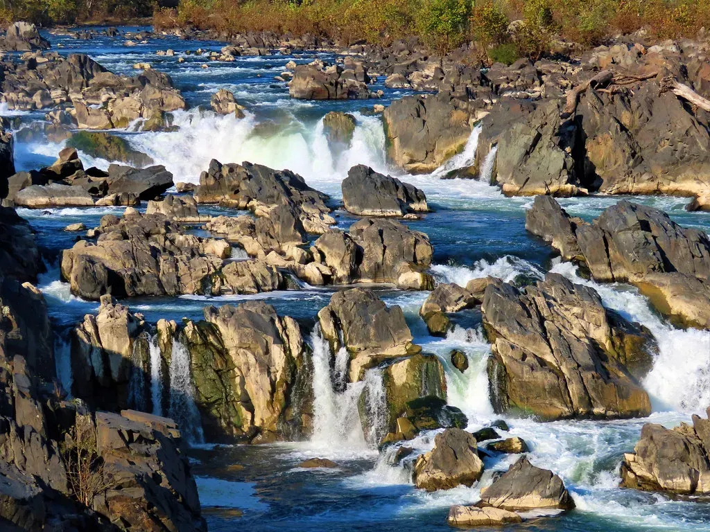 The Potomac River: Deceptively Calm at the Surface (Image Credits: Flickr)