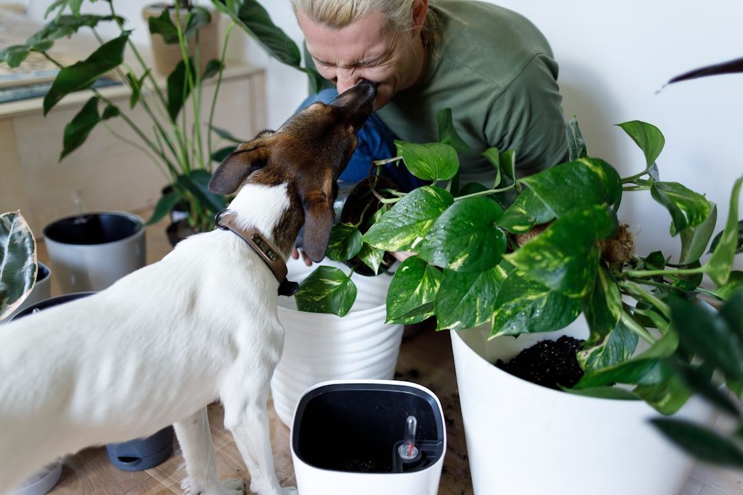 Household Plants: Beauty with a Bite (Image Credits: Unsplash)