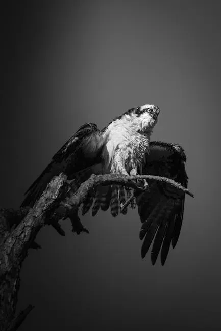 10. Flathead Lake, Montana - Big Sky Ospreys With Mountain Backdrops (Image Credits: Pexels)