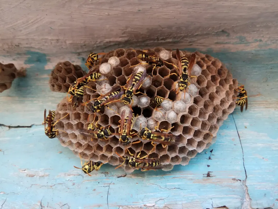 6. Buzzing or Humming Noises (Image Credits: Unsplash)