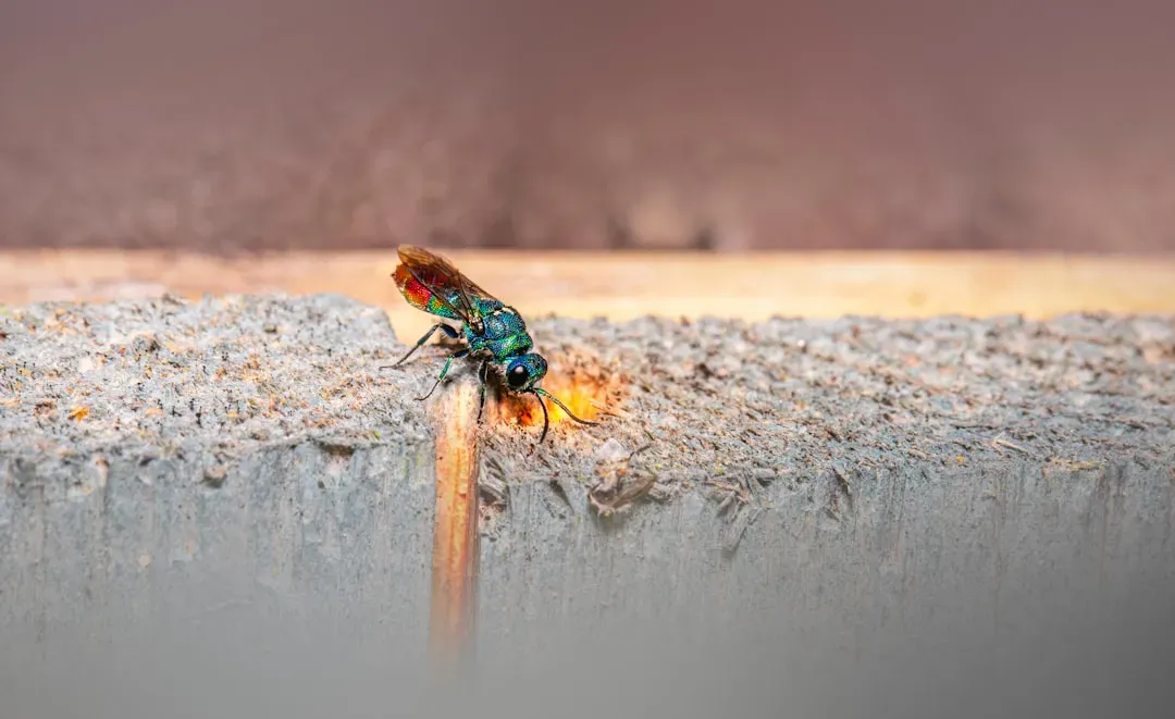 Seal Every Crack, Gap, and Entry Point (Image Credits: Unsplash)