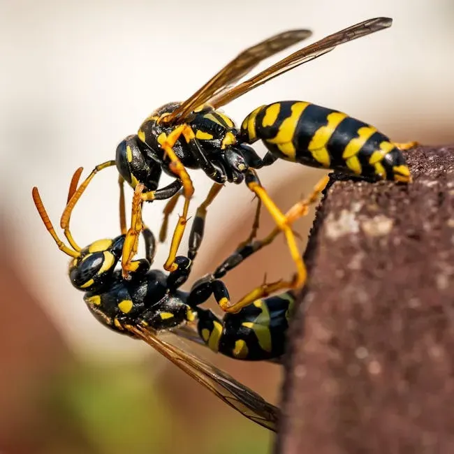 #4: Wasps, Yellowjackets, and Fire Ants - Stinging in Numbers (Image Credits: Pexels)