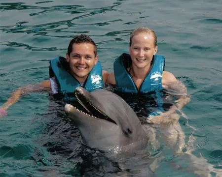 Human Impact: How Our Actions Affect Dolphin Survival (CC BY-SA 3.0)