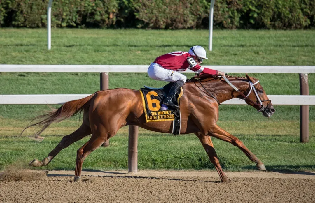 #17 &ndash; Thoroughbred: The Horse That Never Really Left the Track (Image Credits: Unsplash)