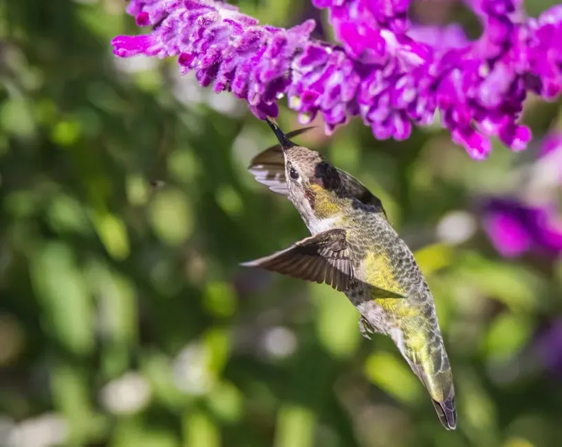 7. Hummingbirds Have Extraordinary Memory (Image Credits: Pexels)