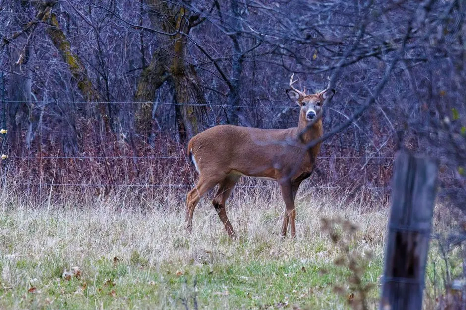 #8 Georgia (Image Credits: Pexels)