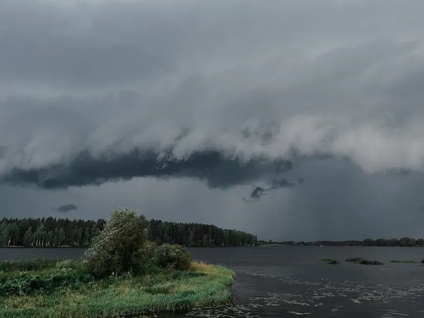 They Create Their Own Wild, Savage Weather (Image Credits: Pexels)