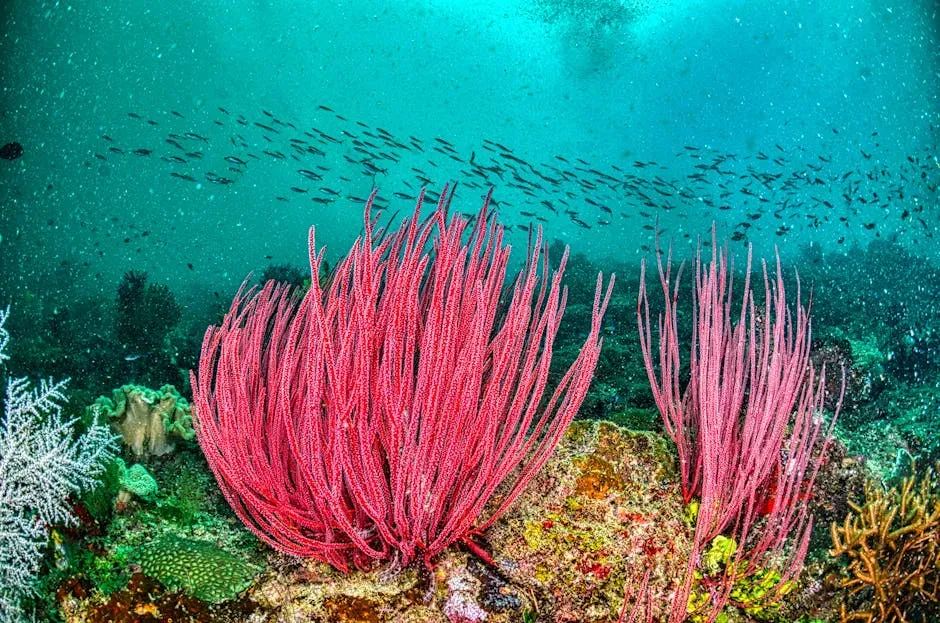 7. The Bowhead Whale's Rival Record Holder: Black Coral (Image Credits: Pexels)