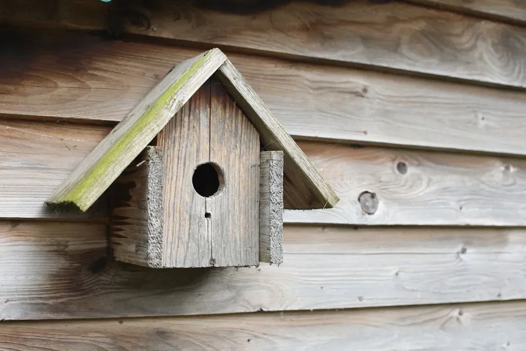 5. Build Small Shelters and Nesting Spaces (Image Credits: Unsplash)