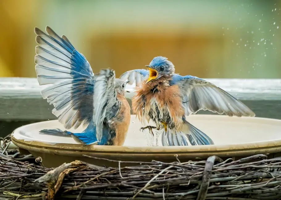 #11: The "Bluebird of Happiness" Is a Cultural Thread Running Through American History (Image Credits: Pexels)