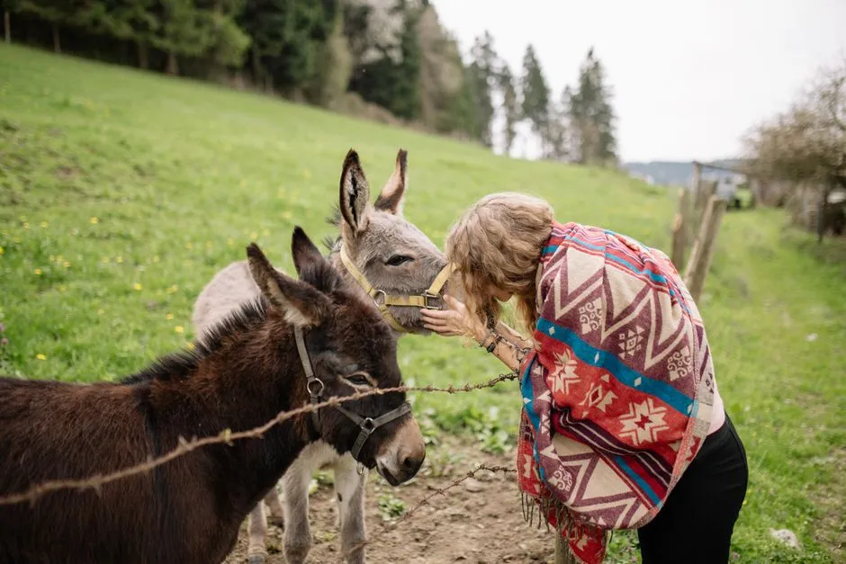 #3 - Donkeys and Mules as Casual Backyard Pets (Image Credits: Pexels)