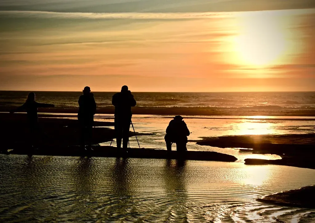 Conclusion: Finding Your Ocean Connection (Image Credits: Flickr)