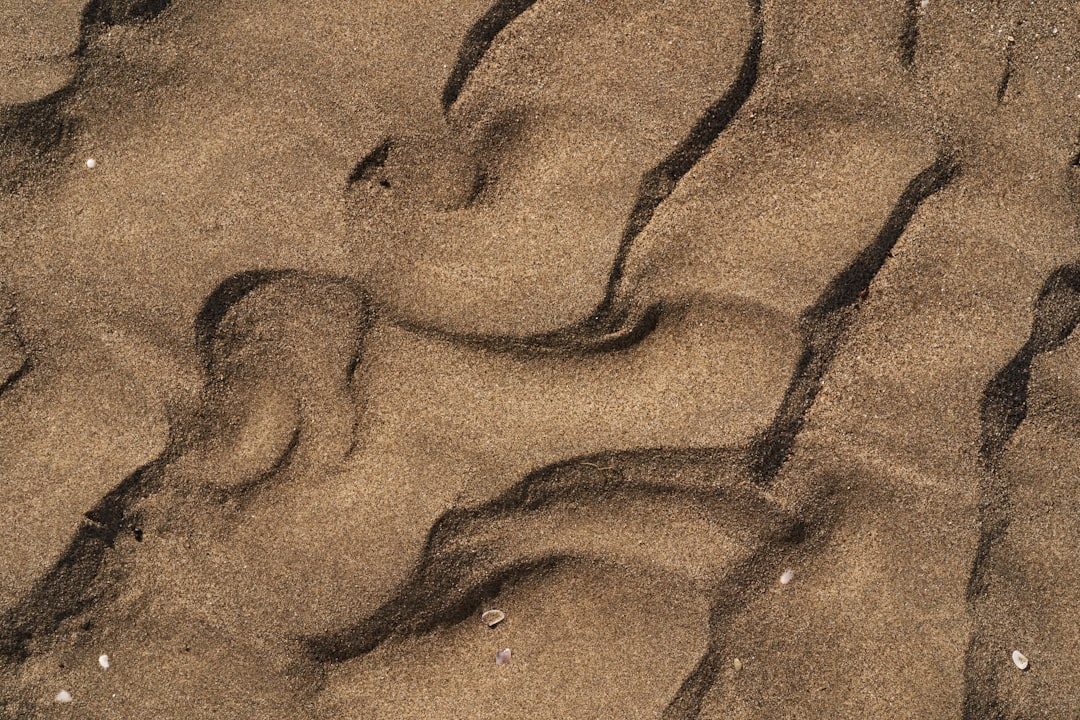 Sand Paintings Feature Animals as Sacred Symbols (Image Credits: Unsplash)