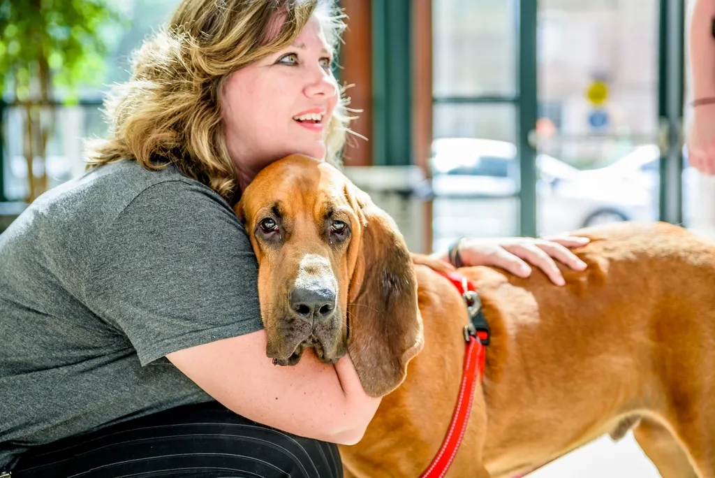 The Truth Nobody Tells You Before You Adopt (Image Credits: Rawpixel)