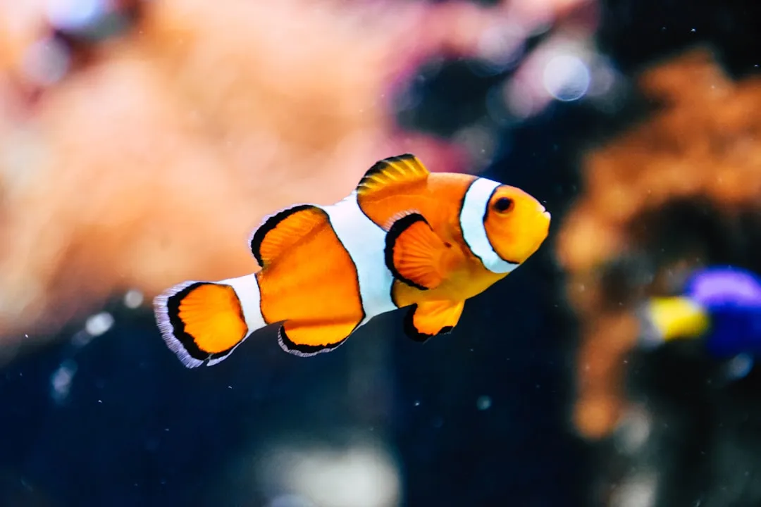 Beyond the Mirror: Other Ways Fish Minds Surprise Us (Image Credits: Unsplash)