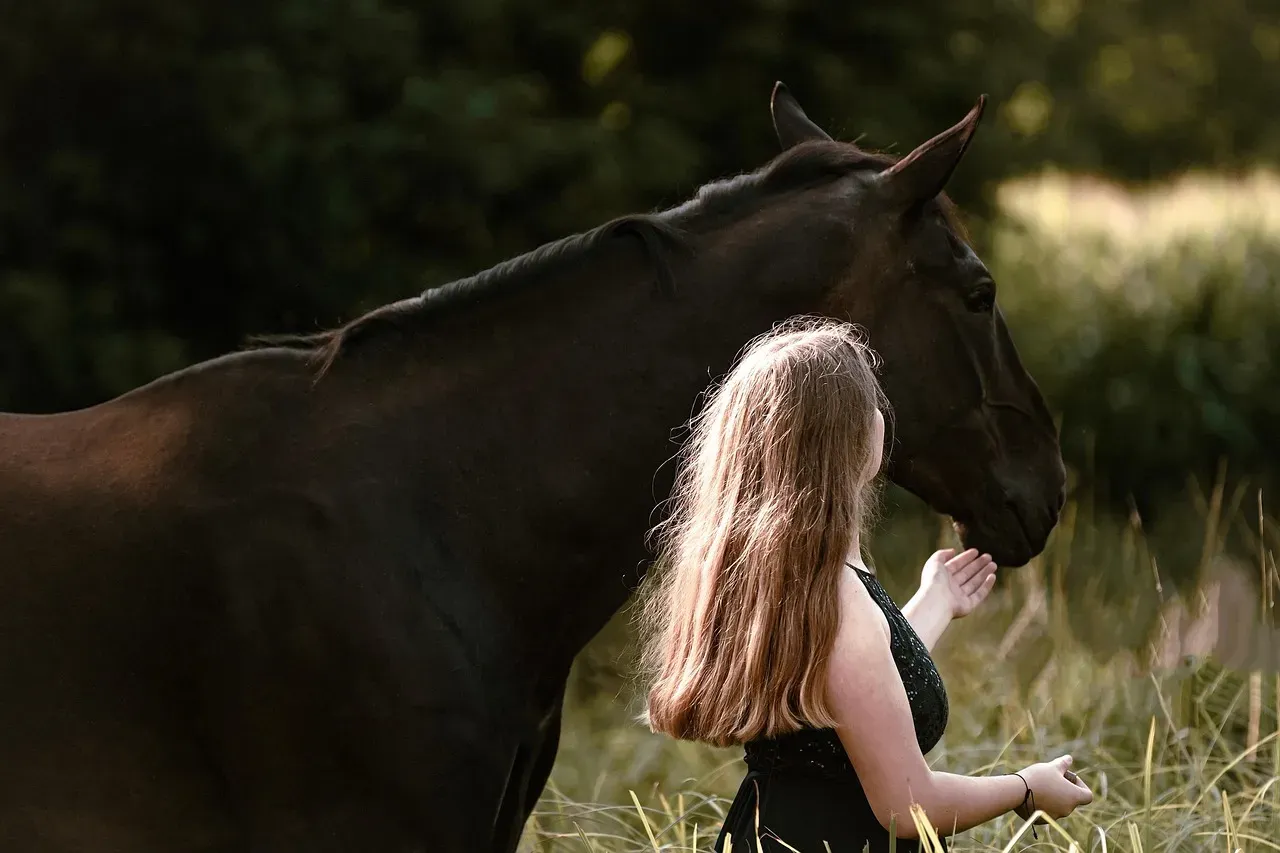 #10 &ndash; Horses That Remember One Rider Forever (Image Credits: Pixabay)