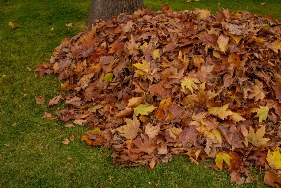 8. Create Brush Piles and Leave Fallen Leaves (Image Credits: Pexels)