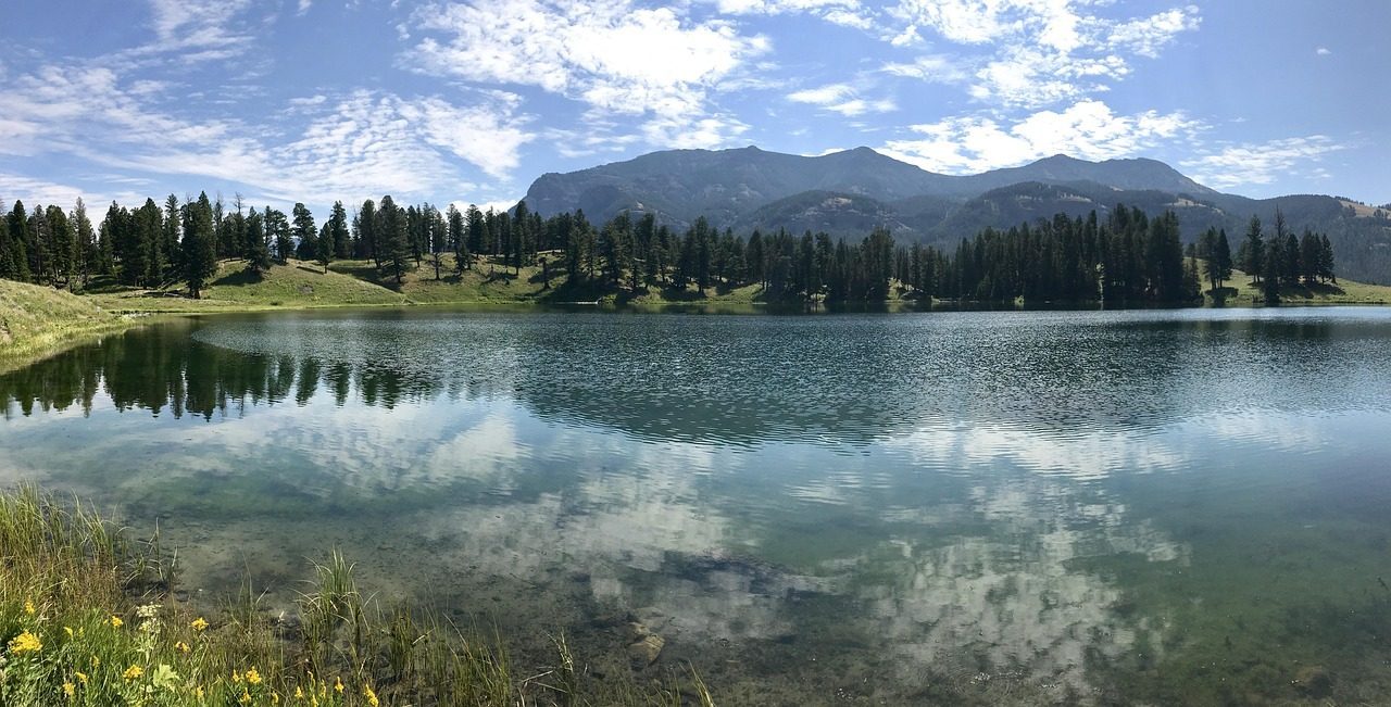 Yellowstone Wildlife Sanctuary, Montana (Image Credits: Pixabay)