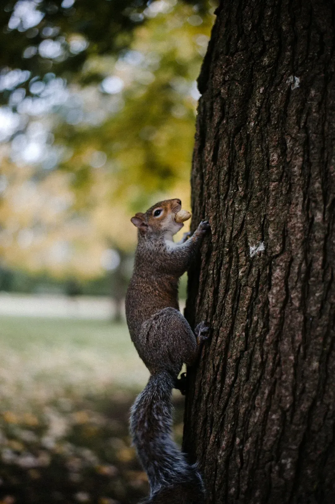 Conclusion: The Extraordinary Hiding in Plain Sight (Image Credits: Unsplash)