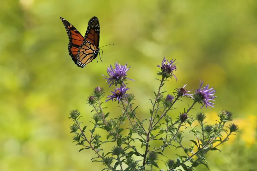 A Migration Worth Protecting (Image Credits: Unsplash)