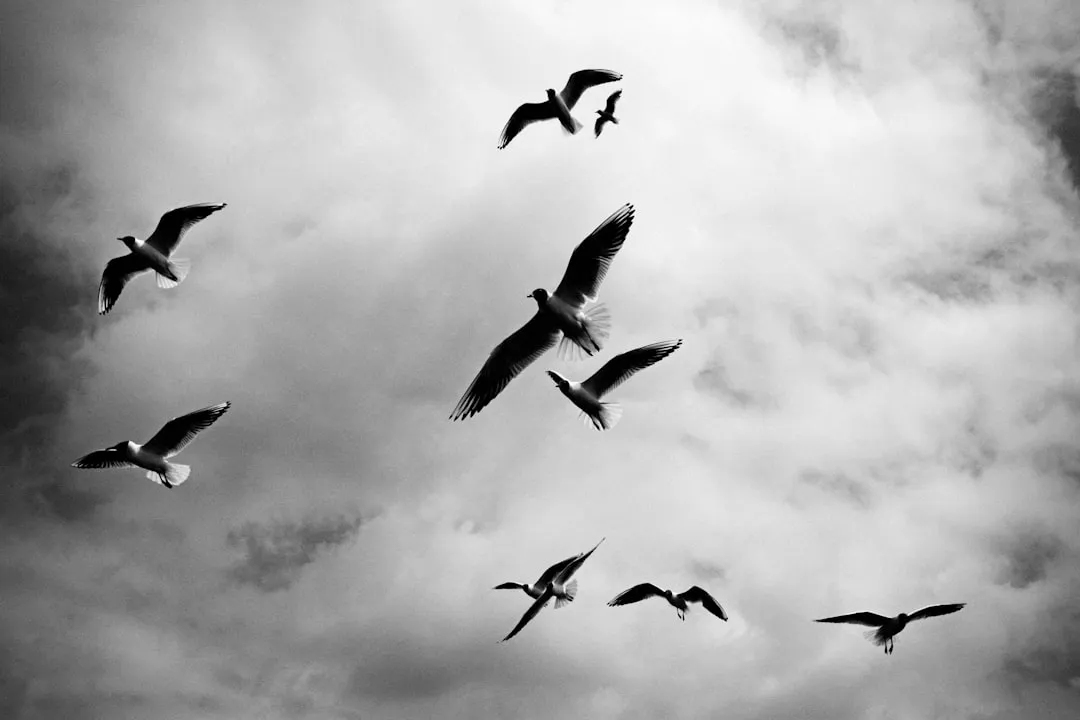 #9 - Your Everyday Noise Stops Triggering Mass Panic (Image Credits: Unsplash)