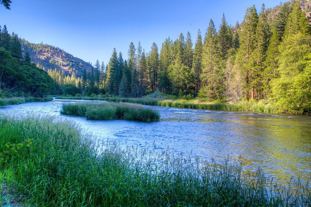 Klamath Basin Lakes: Pacific Flyway Powerhouse (Image Credits: Flickr)