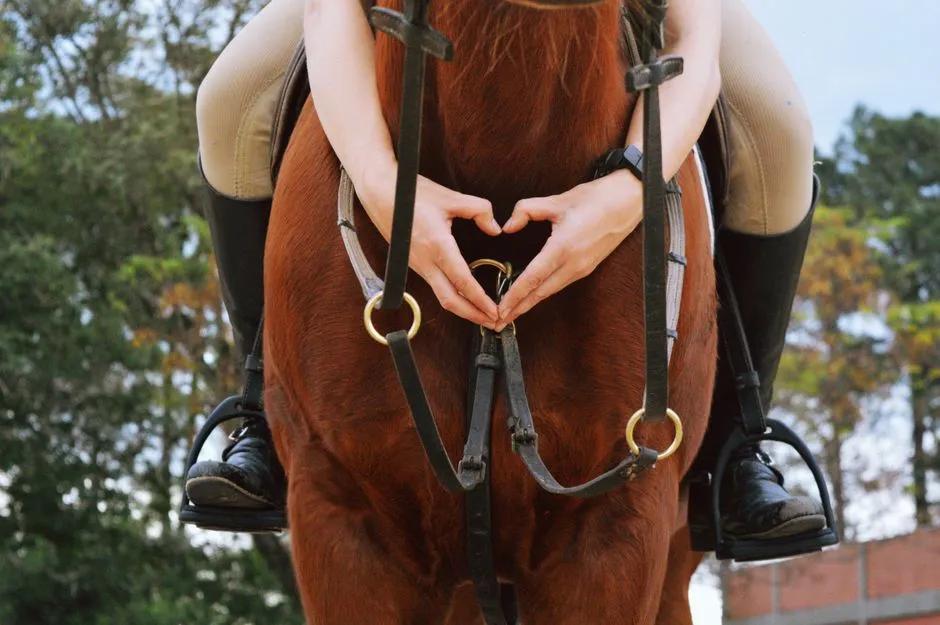 #1 - Their Heart Rate Follows Yours (Image Credits: Pexels)
