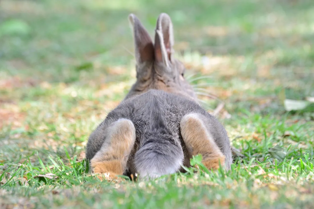 #4 They Relax Their Body Completely in Your Presence (Image Credits: Pixabay)