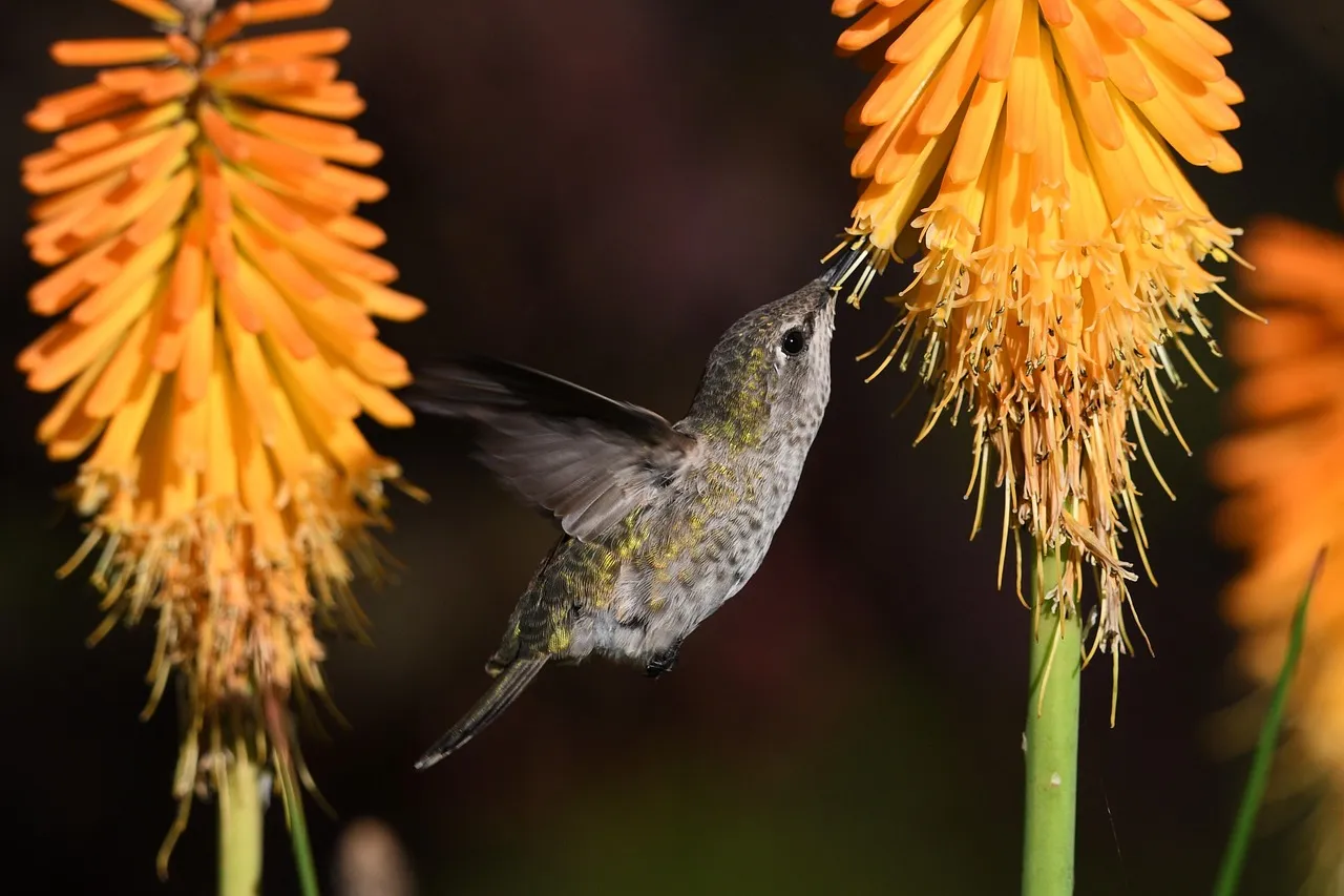 #10 - They Start Ignoring "Pretty" Flowers That Don't Pay (Image Credits: Pixabay)