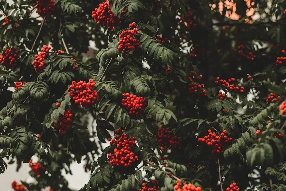 Mulberry: Abundant Fruit for Songbirds (Image Credits: Pexels)