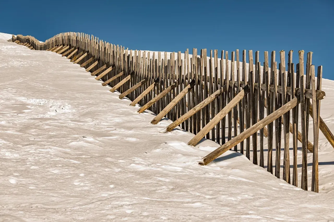 Provide Wind Protection (Image Credits: Pixabay)