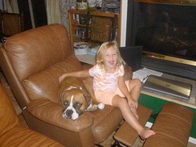 The Boxer: Boundless Energy Meets Protective Instinct (Image Credits: Flickr)