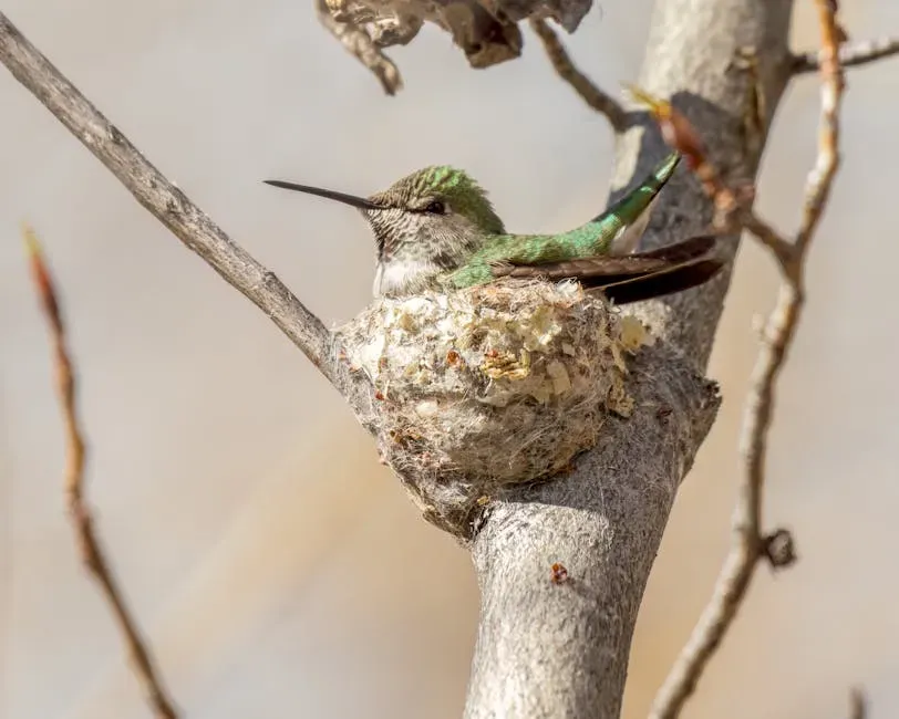 They Collect Spiderwebs With a Sweeping Dance (Image Credits: Pexels)