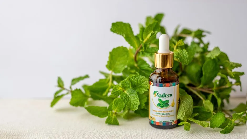 #1 Peppermint (Image Credits: Pexels)