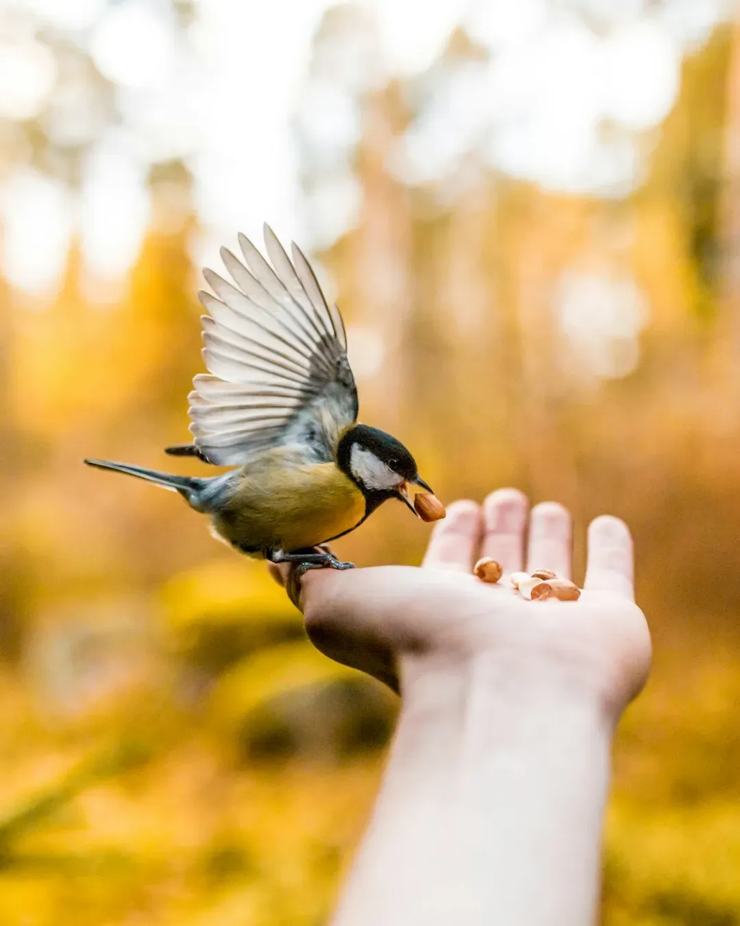 Diet and Daily Energy Demands (Image Credits: Unsplash)