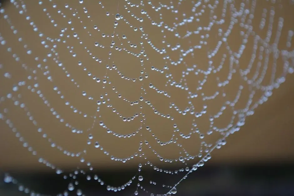 Spiders Spinning Larger Webs (Image Credits: Pexels)