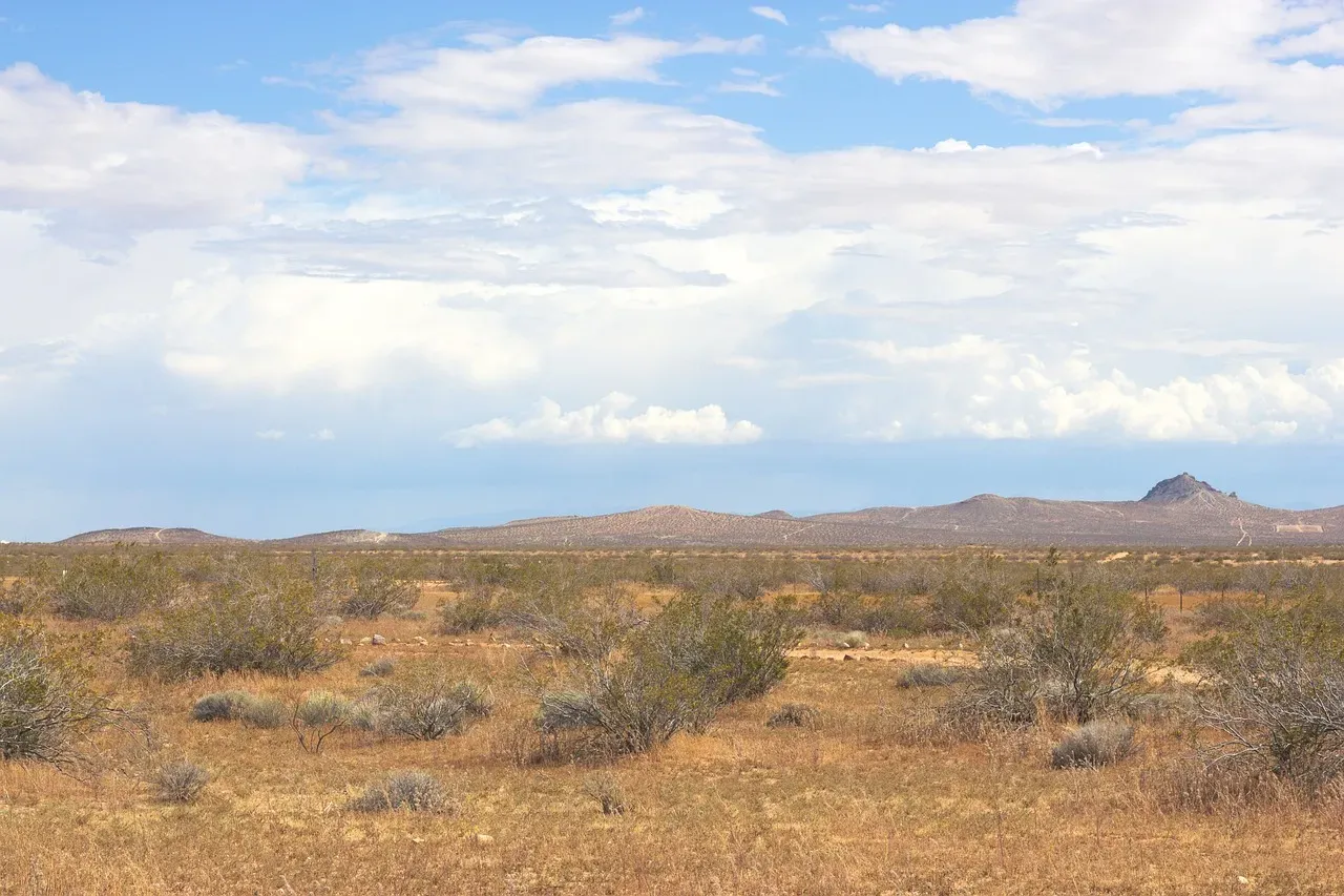 What the Desert Still Tells Us Today (Image Credits: Pixabay)