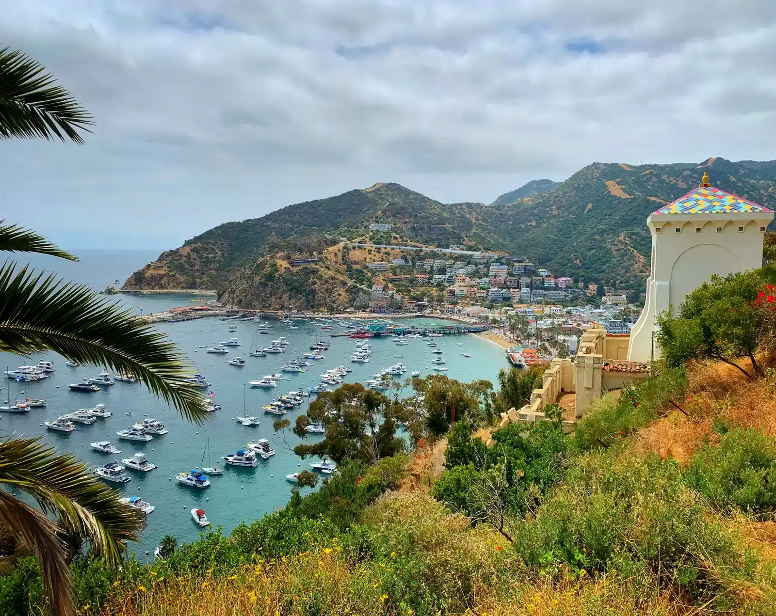 Catalina Island, California (Image Credits: Wikimedia)