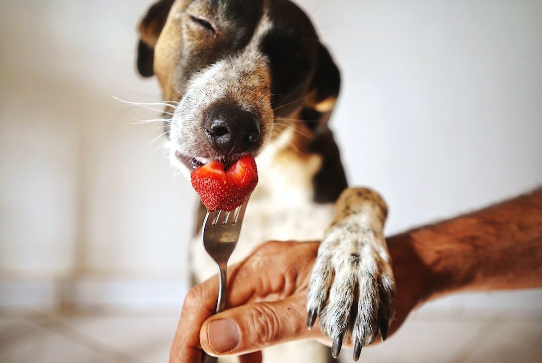 Common Foods That Turn Toxic (Image Credits: Unsplash)
