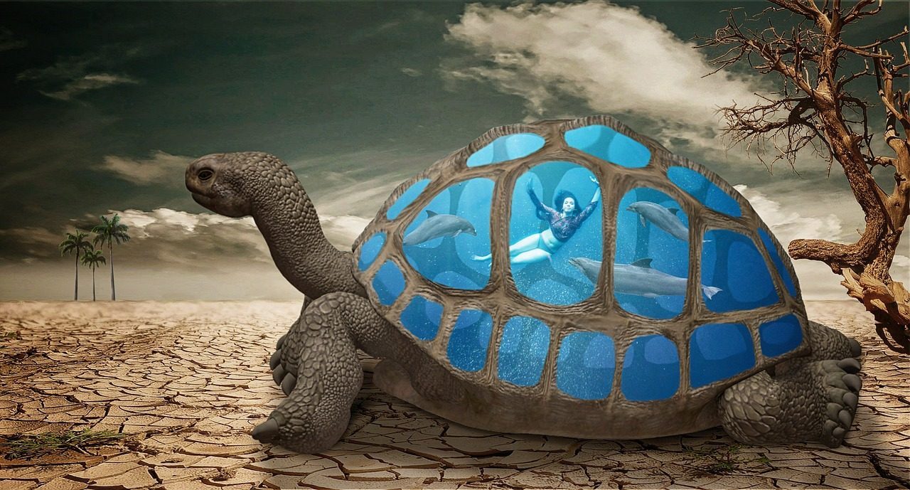 Desert Tortoise - The Patient Plodder (Image Credits: Pixabay)