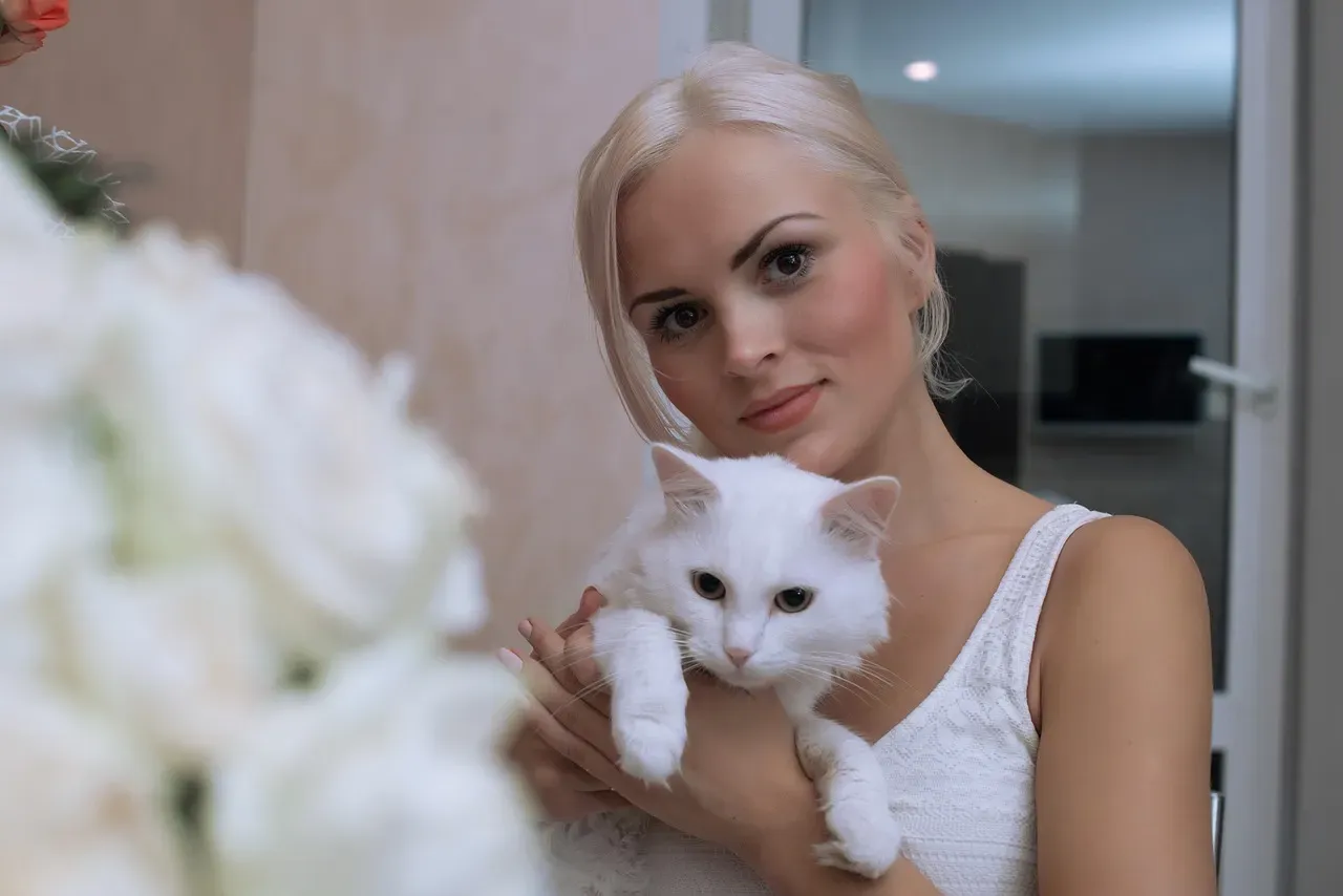 Cat Breeds Known for Single-Person Attachments (Image Credits: Pixabay)