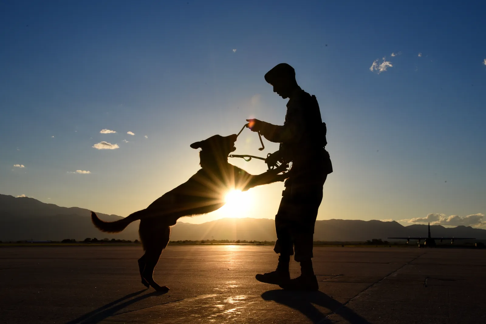 #9 - They Bring You Their Last "Treasures," Even When They Can Barely Move (By Airman 1st Class Dennis Hoffman, Public domain)