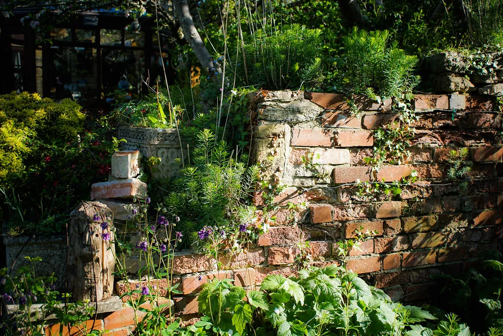 #16 - Ignoring Sunlight and Planting "Where It Looks Cute" (judy dean, Flickr, CC BY 2.0)