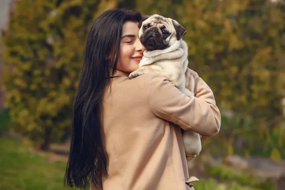 Pug (Image Credits: Pexels)