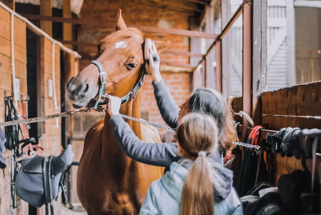 #3 - They Trust Your Hands in Their Most Vulnerable Spots (Image Credits: Unsplash)