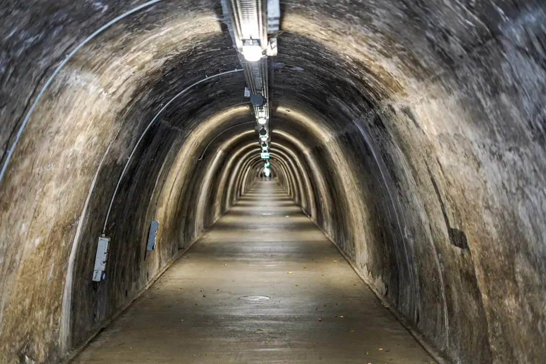 Crafting an Underground Oasis (Image Credits: Unsplash)