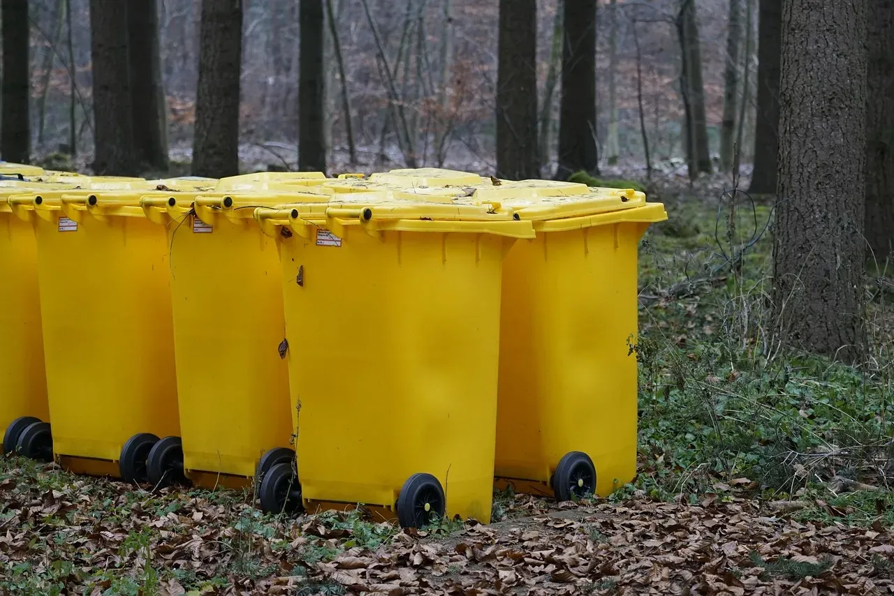 #5: The Persistent Odor of an Uncovered Trash Bin (Image Credits: Pixabay)