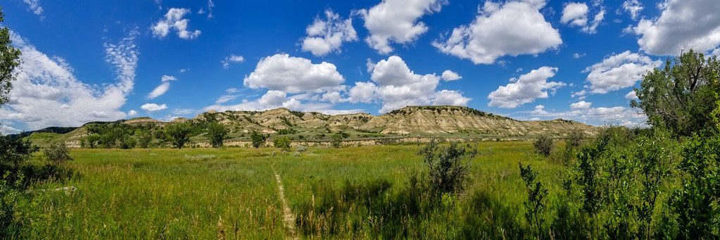 Theodore Roosevelt National Park - North Dakota's Prairie Wildlife Theater (Image Credits: Flickr)