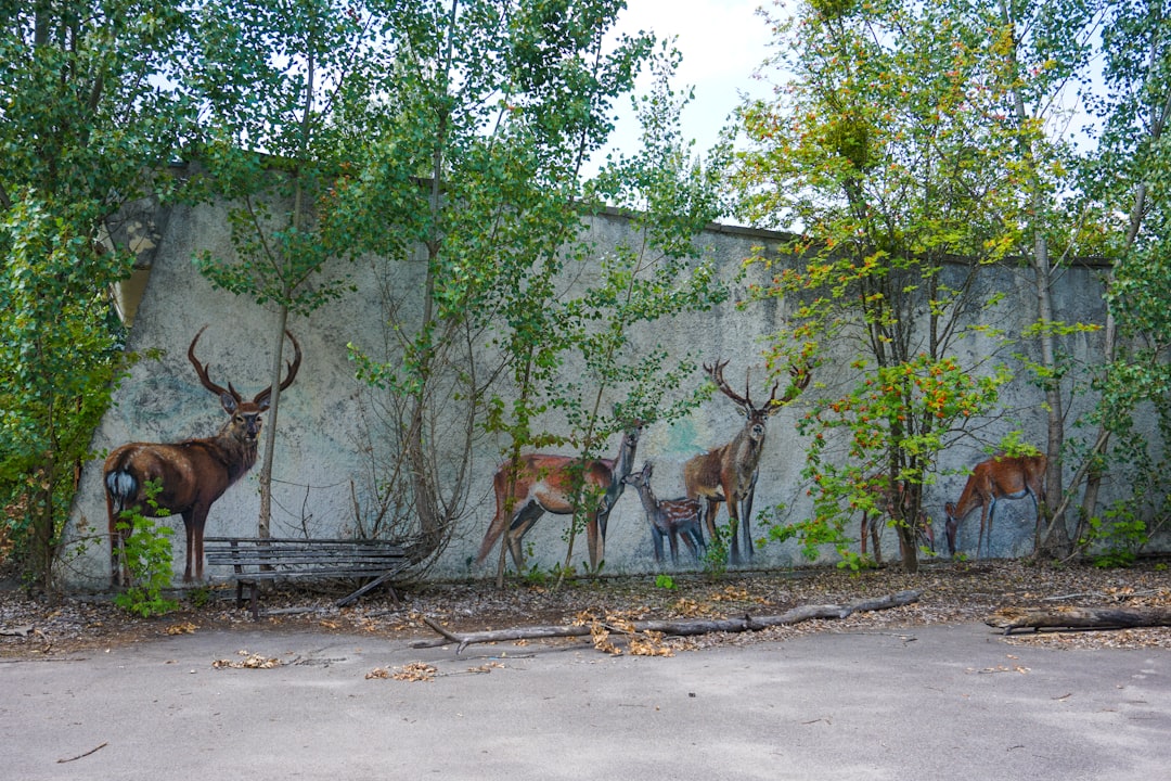 The Chernobyl Wildlife Paradise Nobody Expected (Image Credits: Unsplash)