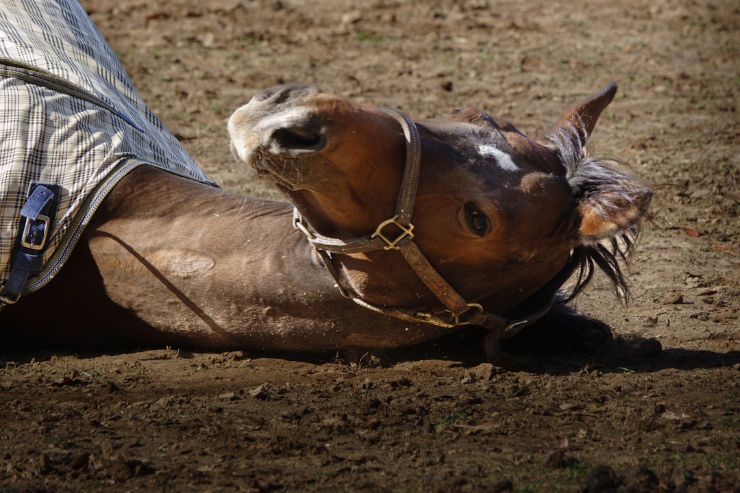 When Rolling Becomes a Red Flag (Image Credits: Unsplash)